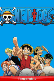 One Piece Season 22