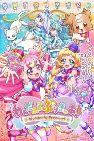 Wonderful Precure! Season 1