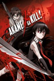 Akame ga Kill! Online Free
