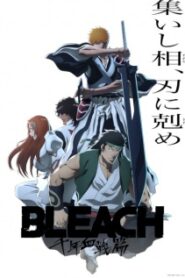 Bleach Sennen Kessen Hen Soukoku Tan Season 2
