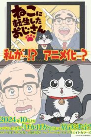 Neko Ni Tensei Shita Ojisan 2024 Online Free