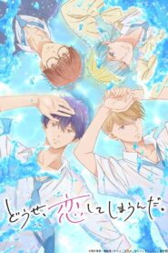 Douse, Koishite Shimaunda. 2nd Season 2025 Online Free